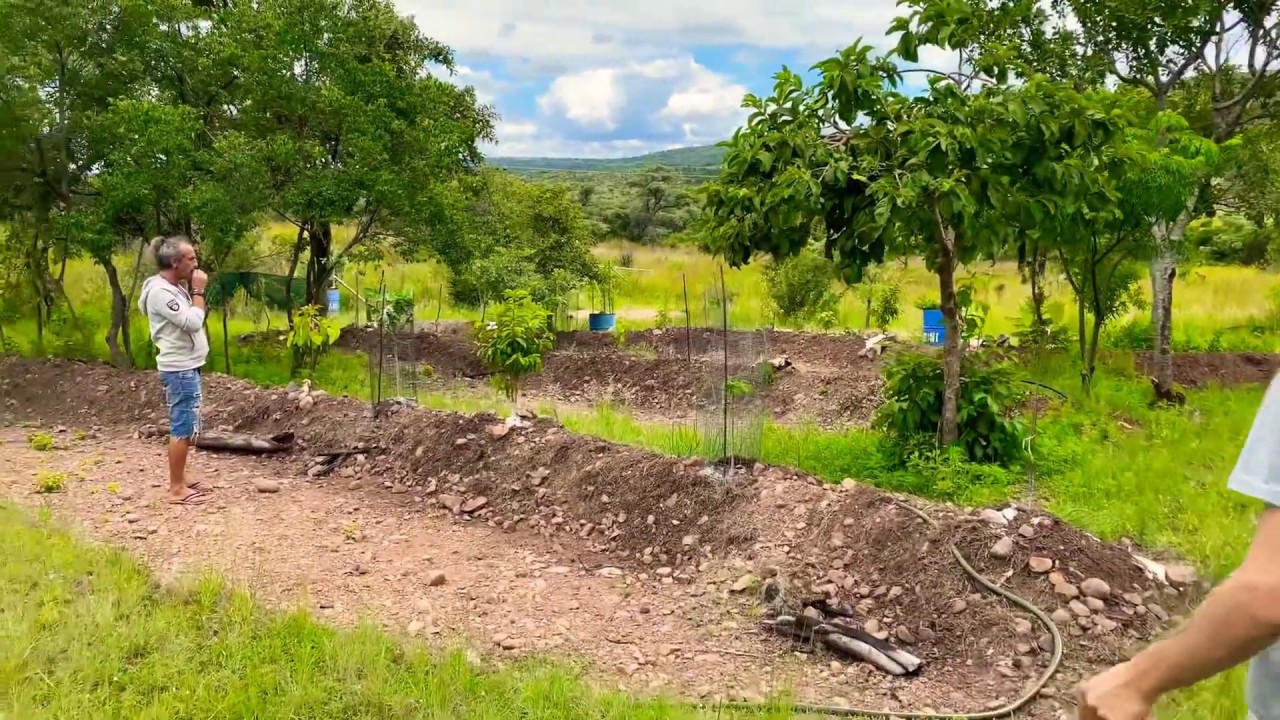 Permaculture South Africa