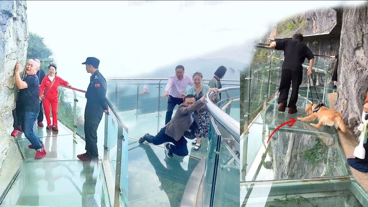 People are terrified to cross glass bridge | Glass bridge crack effect | Glass bridge funny moments