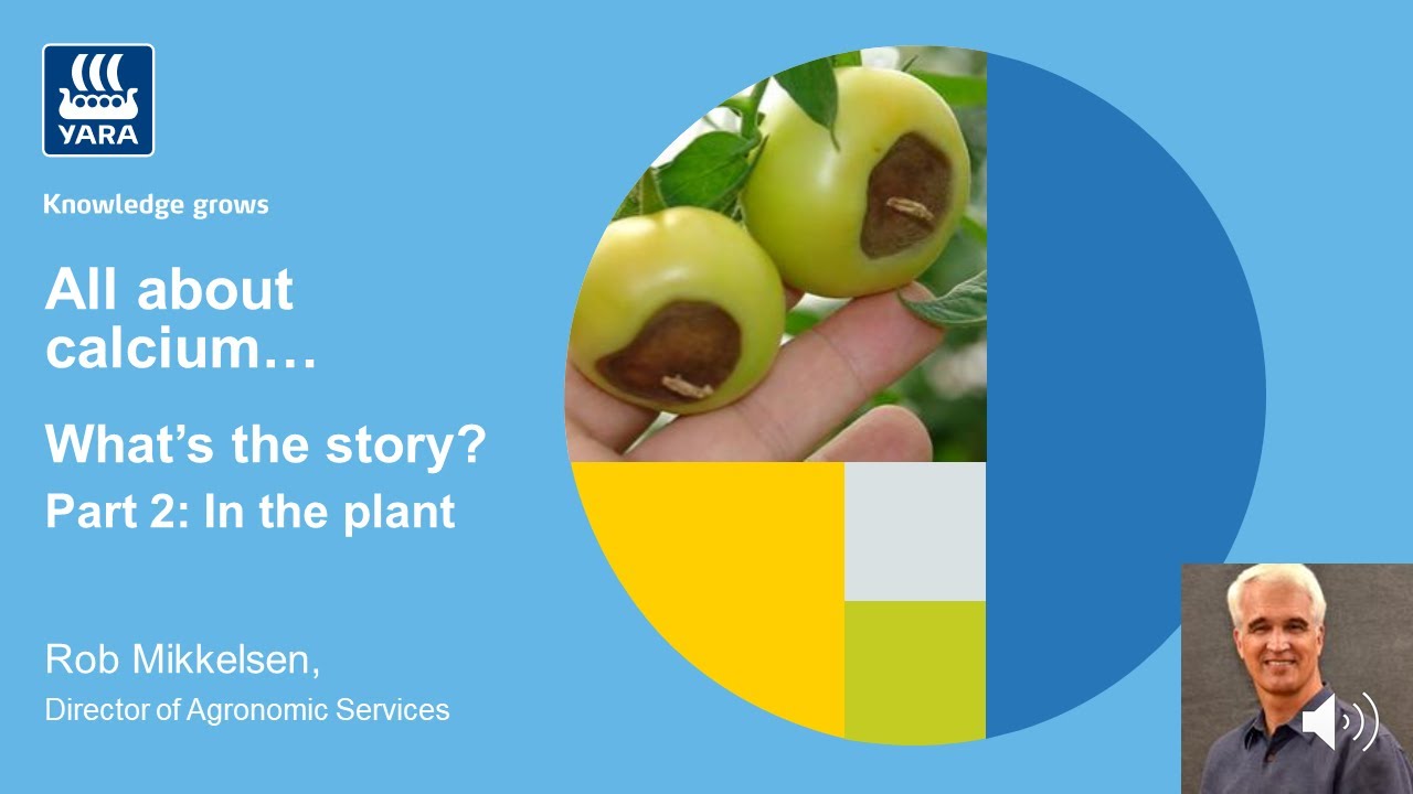 All About Calcium - In the Plant