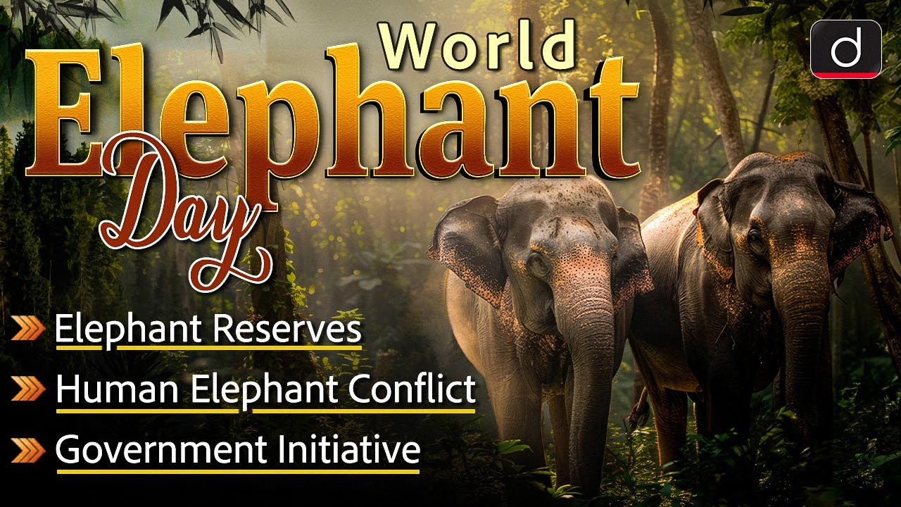 World Elephant Day 2024 | Human Elephant Conflict | Project Elephant | UPSC | Drishti IAS English