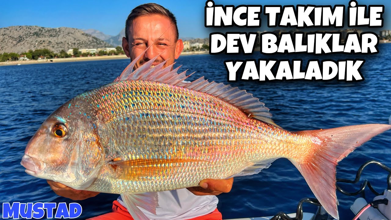Fleto ile Antenli Mercan Avı! (Pagrus Caeruleostictus)