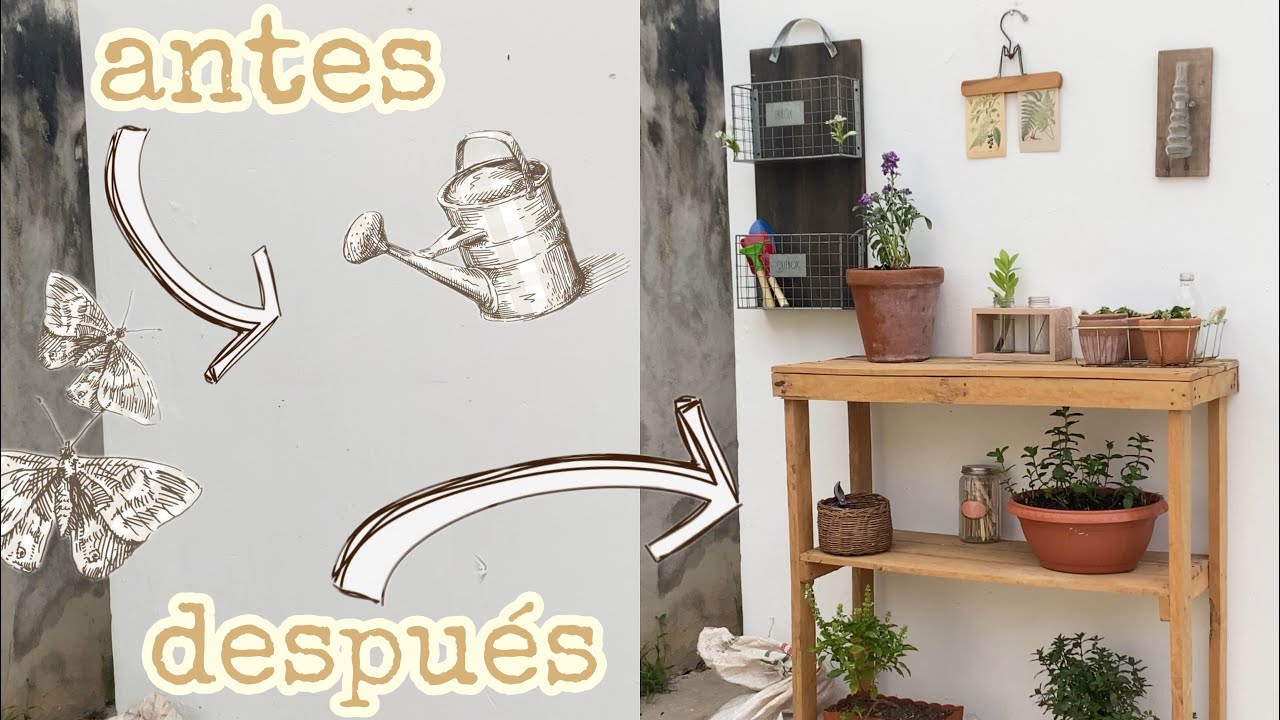 Transformando un rincón mágico para mis plantas |🧺🪲🌷poco presupuesto ✨🍃 #secondhand #vintage 