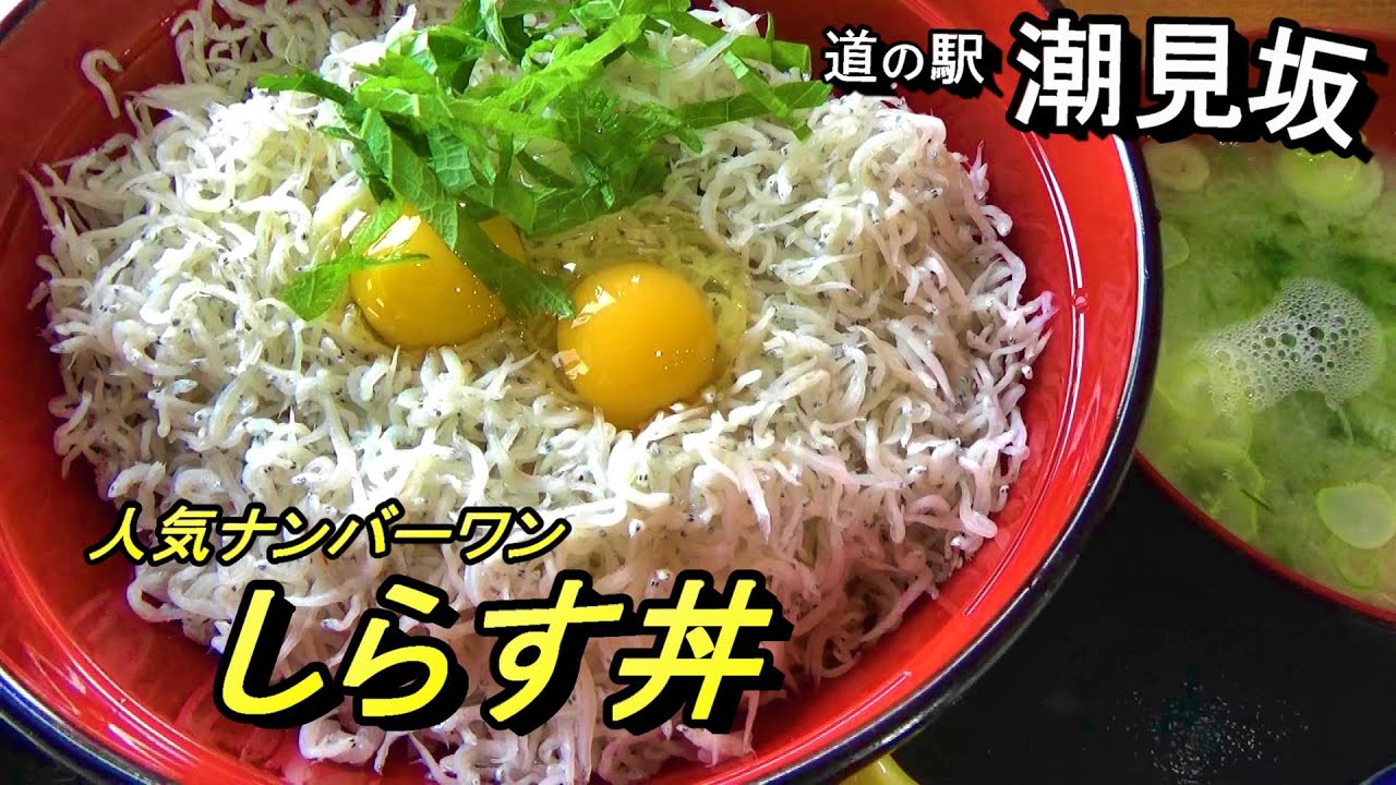 【道の駅:潮見坂】海を見ながら足湯に入って名物のしらす丼を食べる！
