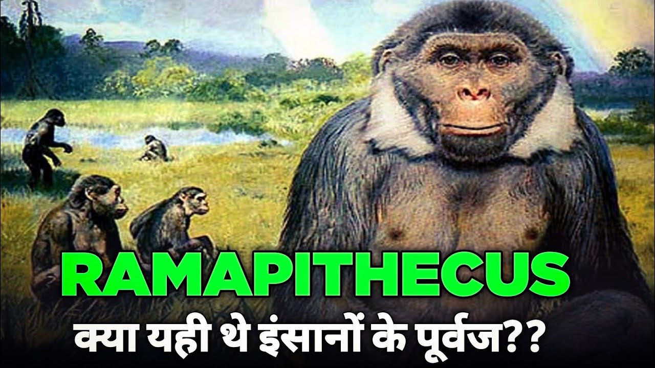 was Ramapithecus the early man like apes?? shivapithecus ancestors of orangutans।