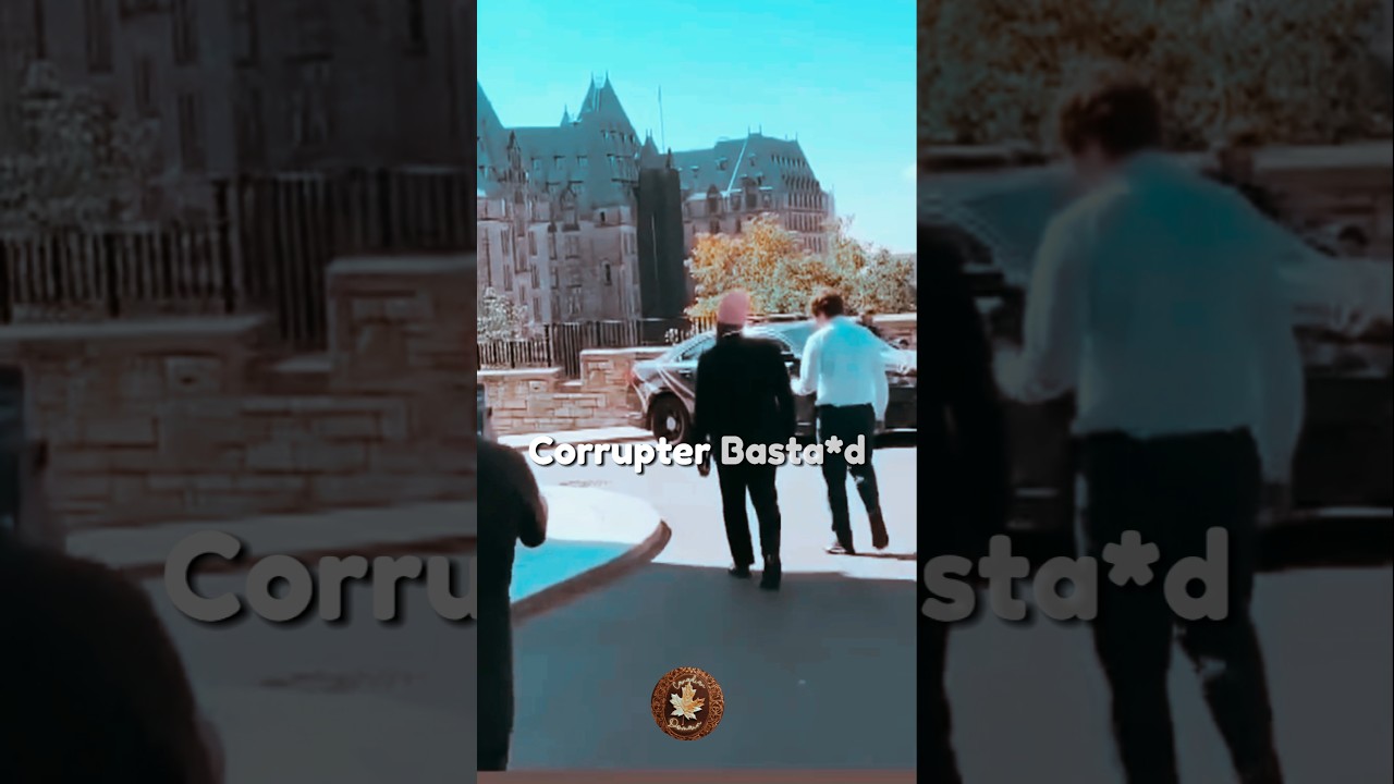 Canadian MP gets into a street fight