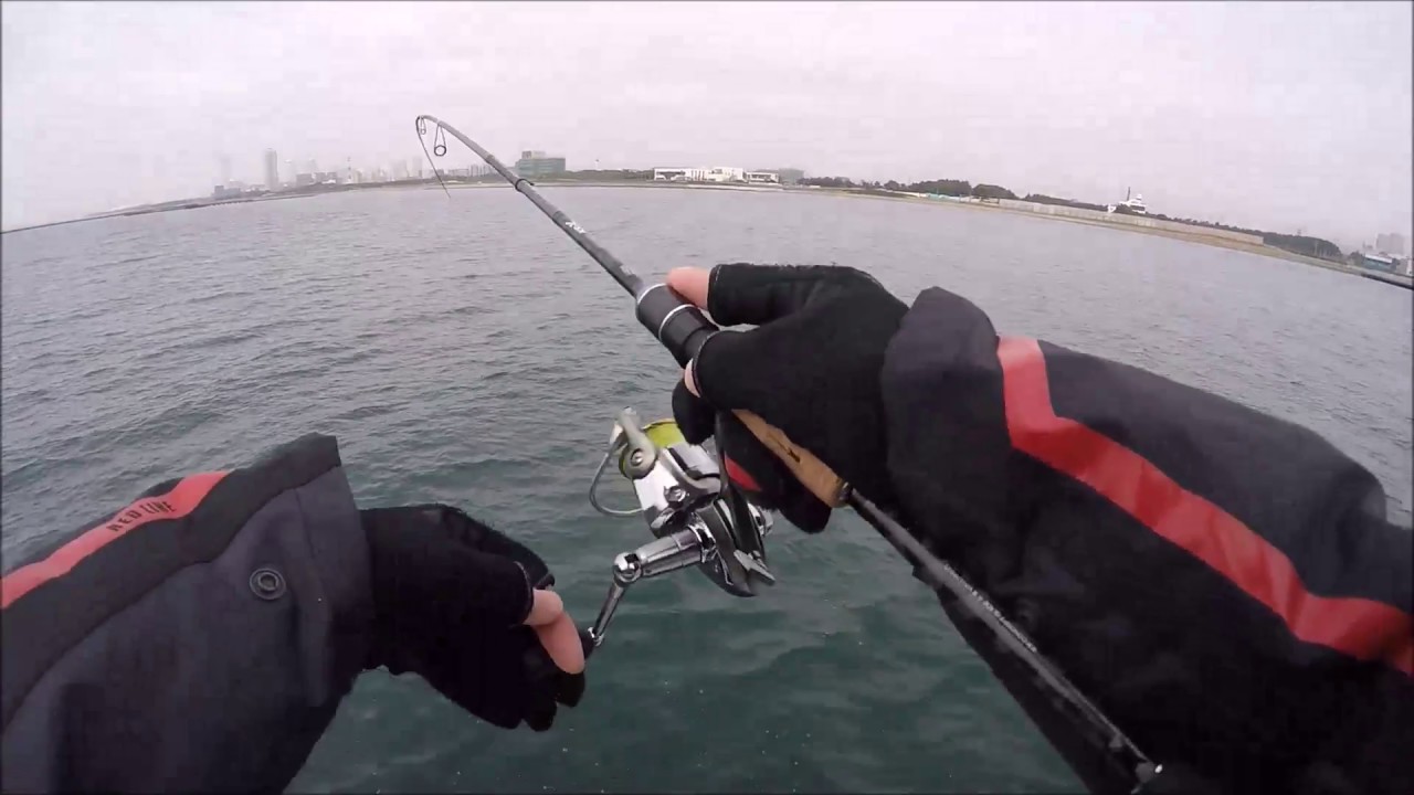 ヒイカの釣り方（エギングデイゲーム）　ルアー Gopro 東京湾