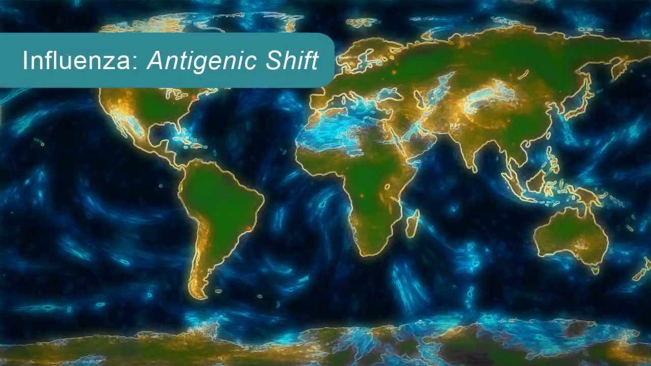 How Influenza Pandemics Occur
