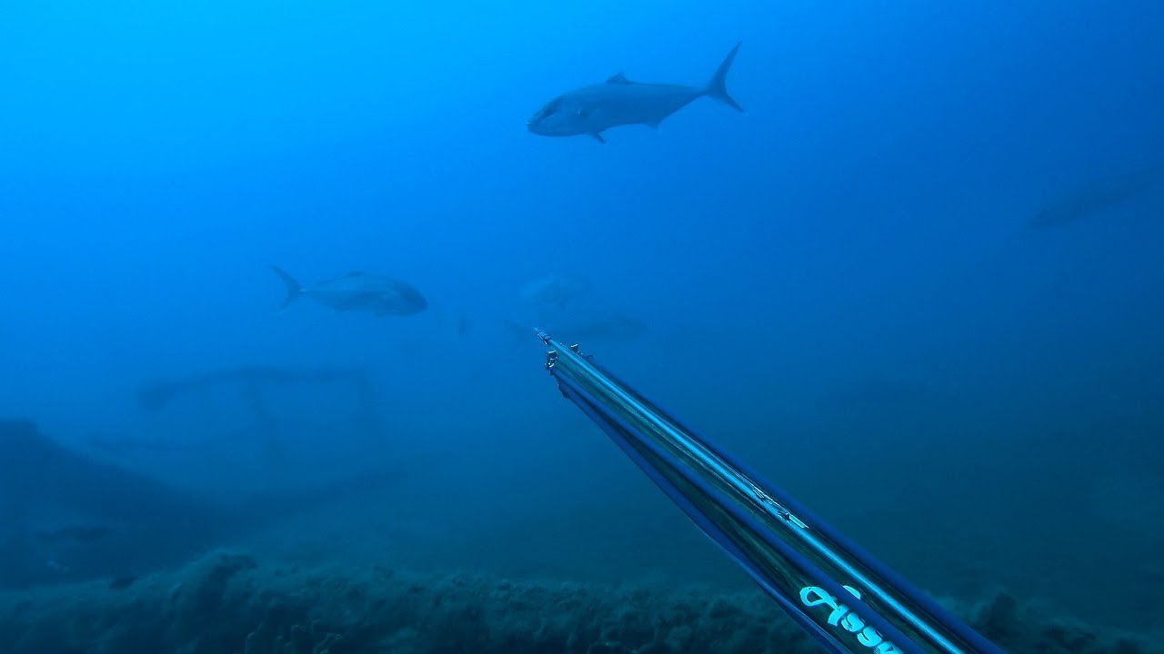Ψαροντούφεκο σε Βαθύ ΤΡΟΜΑΚΤΙΚΟ Ναυάγιο - ΜΕΓΑΛΑ Μαγιάτικα