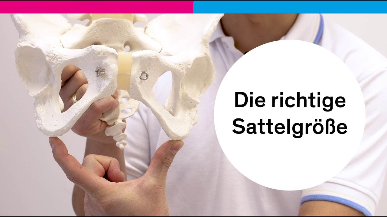 Die richtige Sattelgröße bei Terry Sätteln