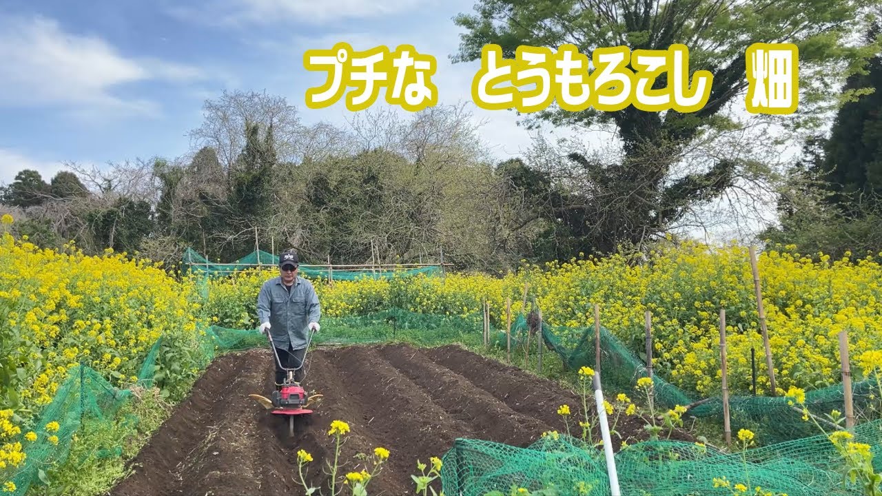 プチな（HONDA）で、小さめの畑を耕す。