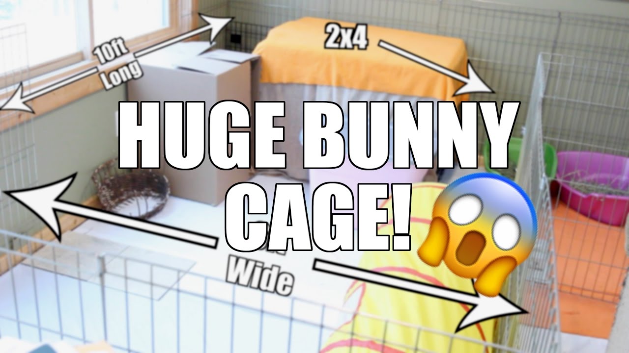 STERLING'S HUGE CAGE - Bunny Cage Tour