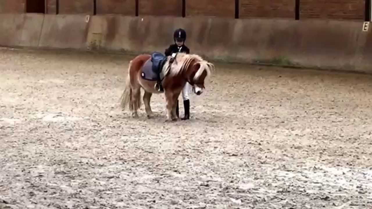 Kim paardrijproef bij Manege Pothoven. Proef F2 versie B met een eindscore van 237 punten.
