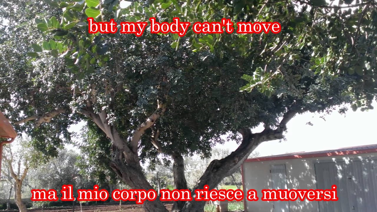 I love you - Celine Dion - Lyrics English Italian