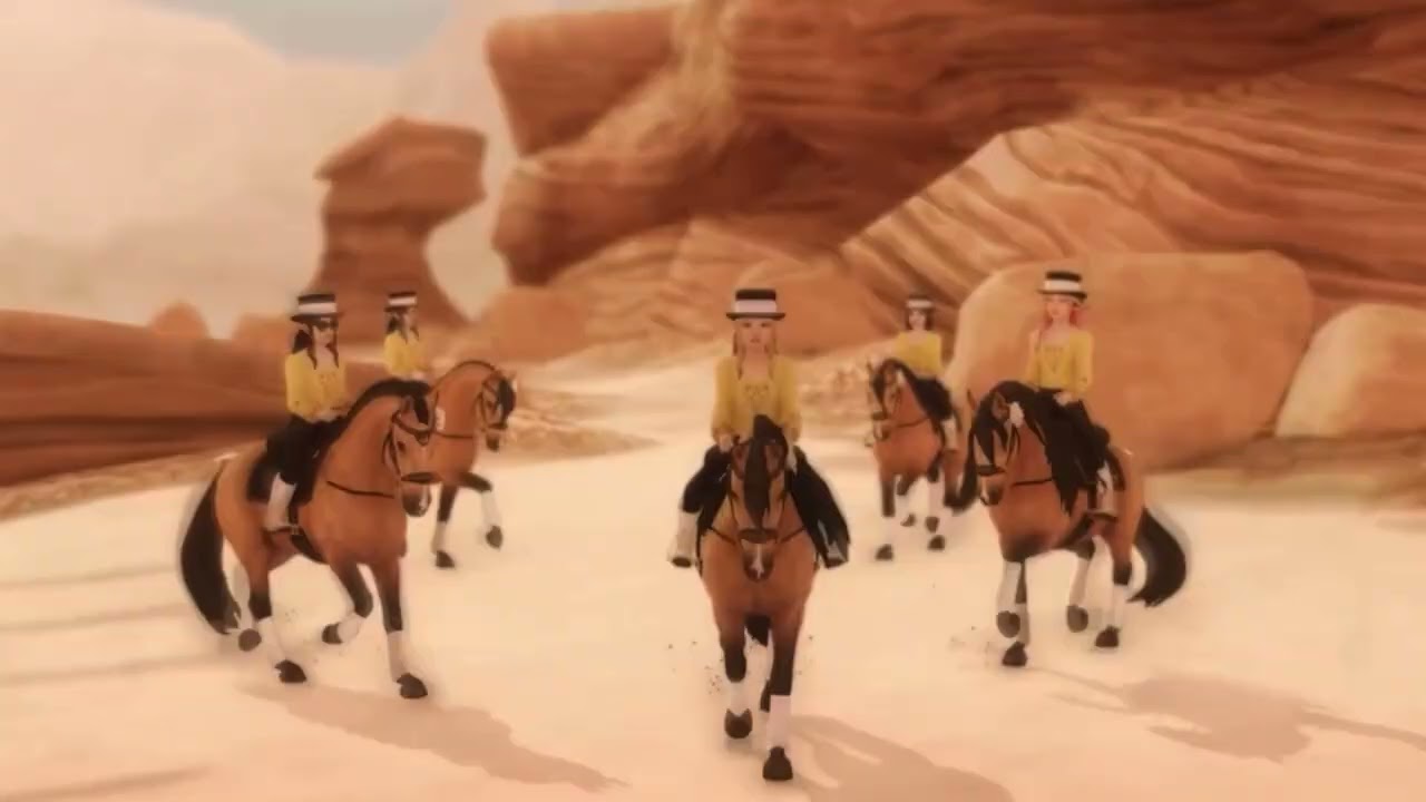 AUREUS DRESSAGE: Team Trailer