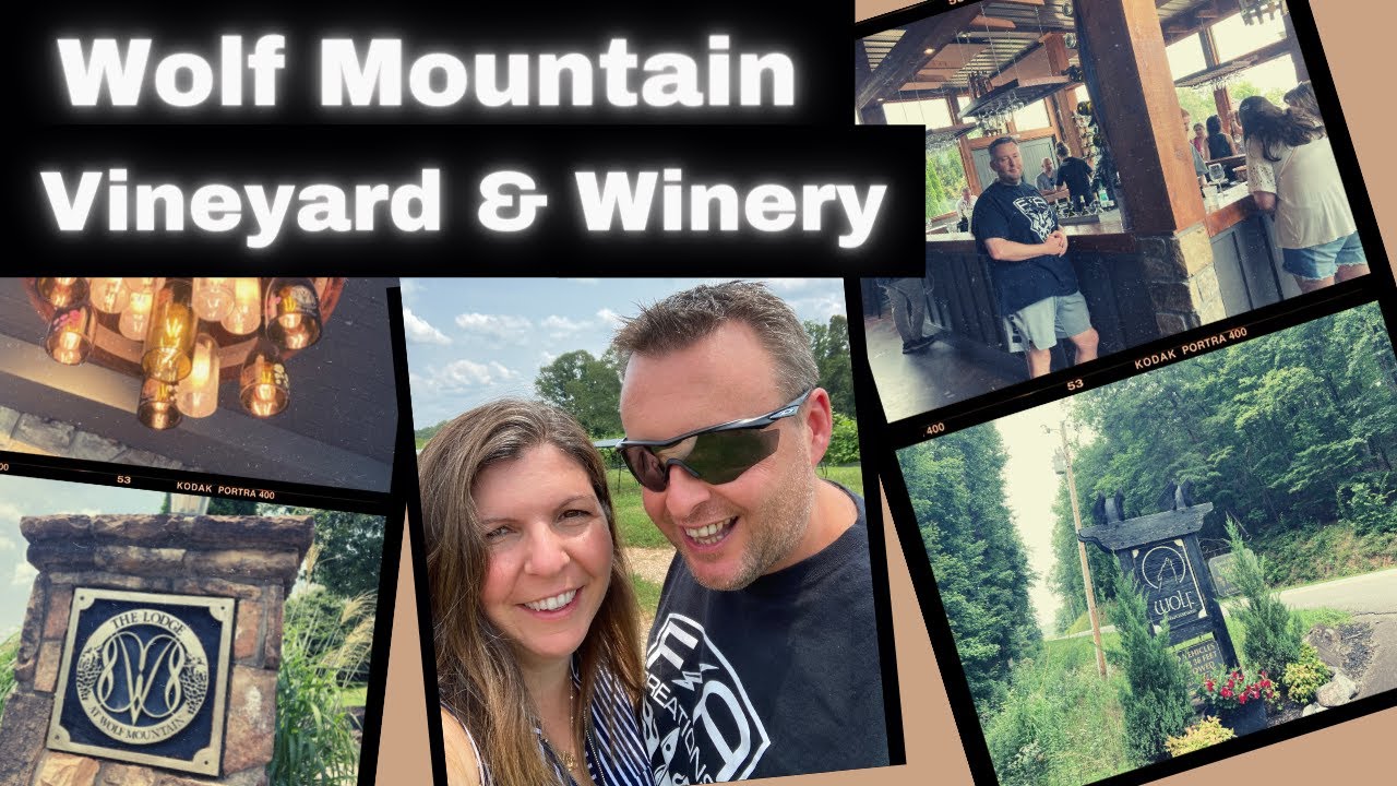 Wolf Mountain Vineyard & Winery | ROAD TRIP Dahlonega, Georgia | Buzz with Your Cuz
