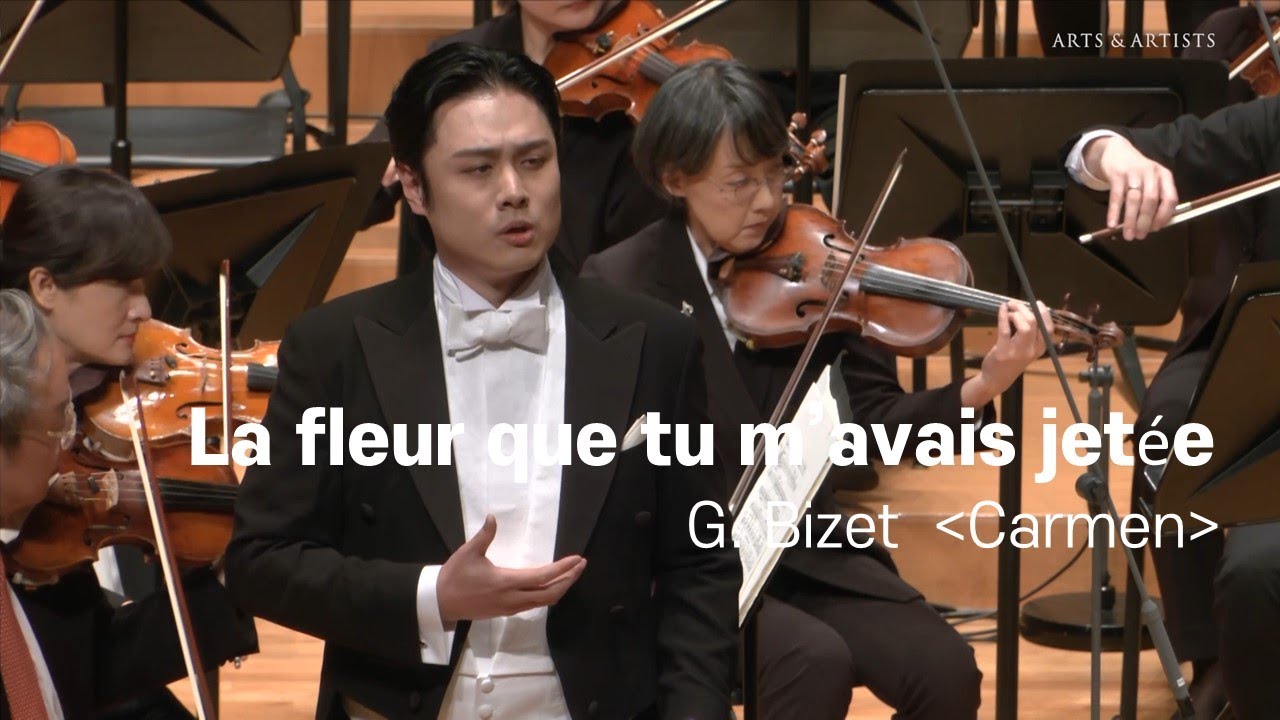 G. Bizet - La fleur que tu m’avais jetée (Carmen)