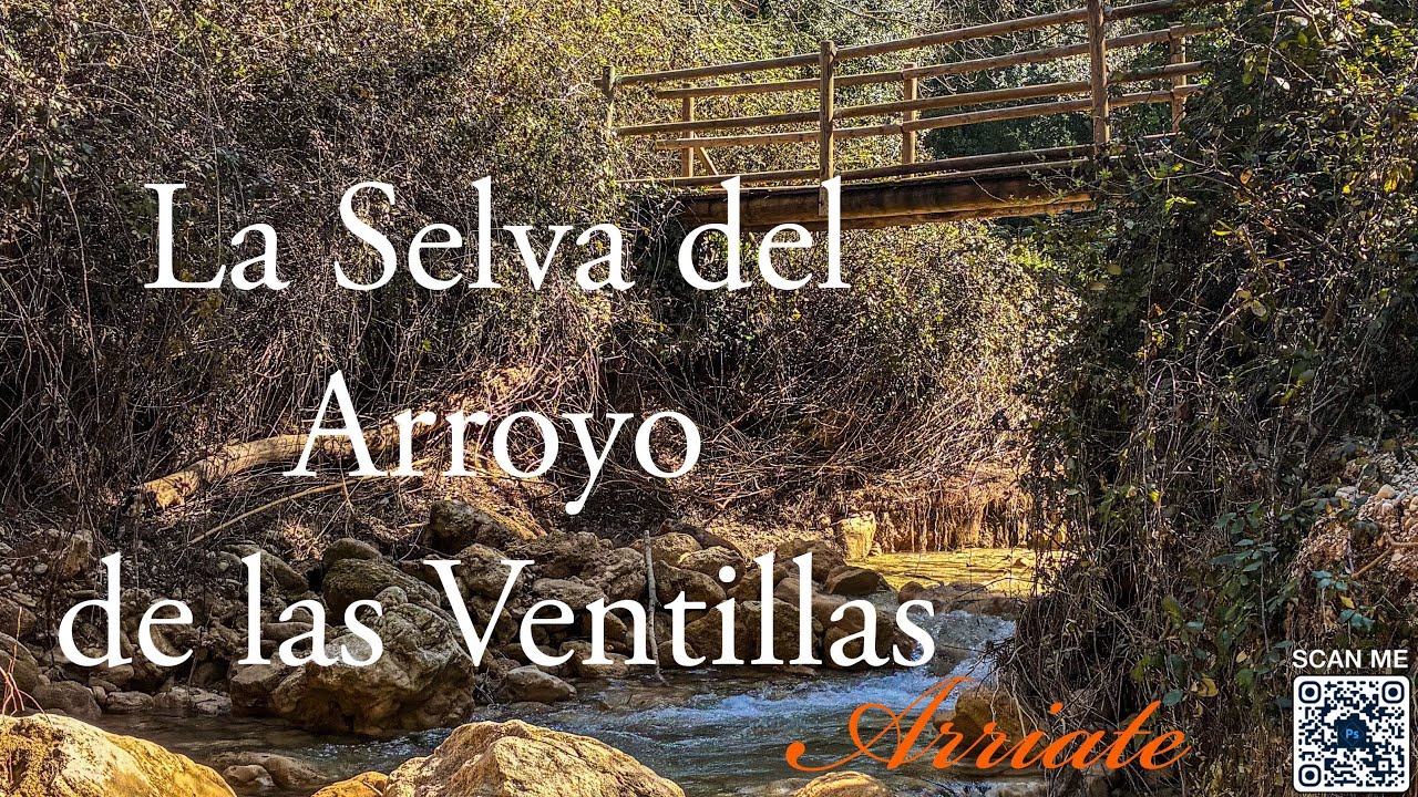 La Selva del Arroyo de las Ventillas 🥾🥾🌲🌿🍁🏞️📽️