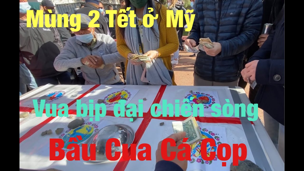 vlog #31 Mùng 2 Tết ở Mỹ, Vietnam Town chơi Bầu Cua Cá Cọp