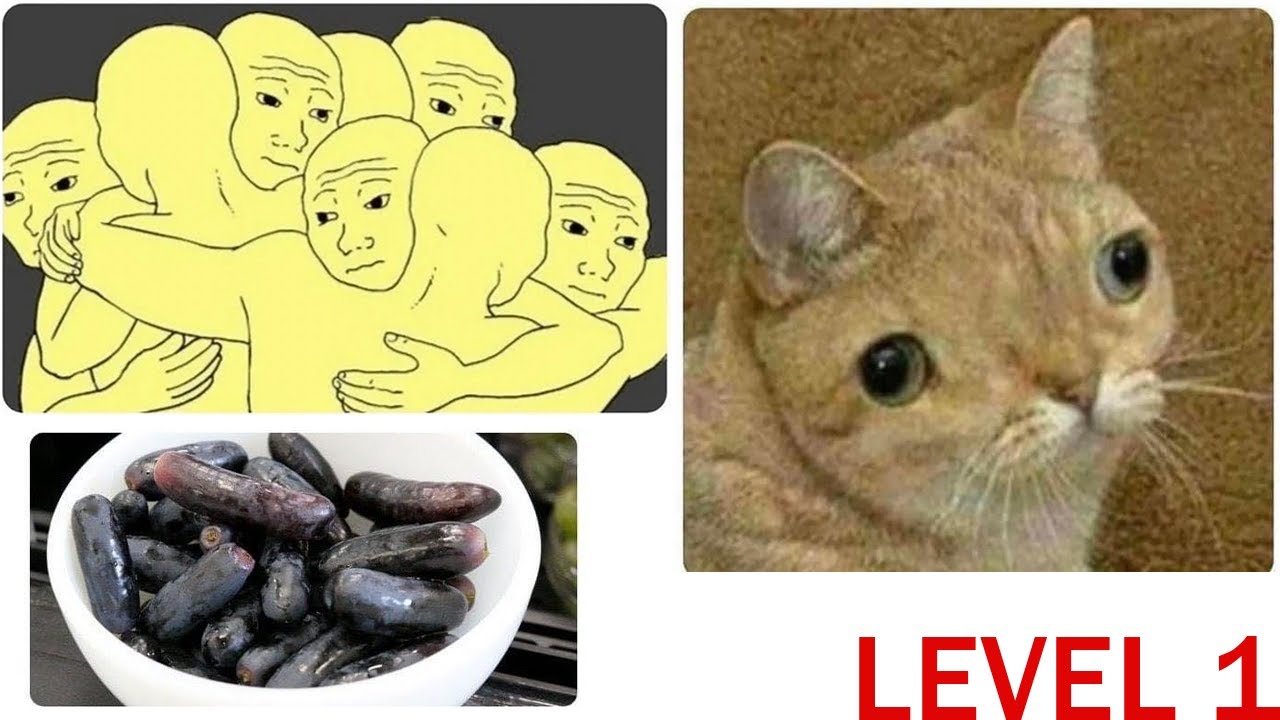 Meme review | Try not to laugh | Level 1