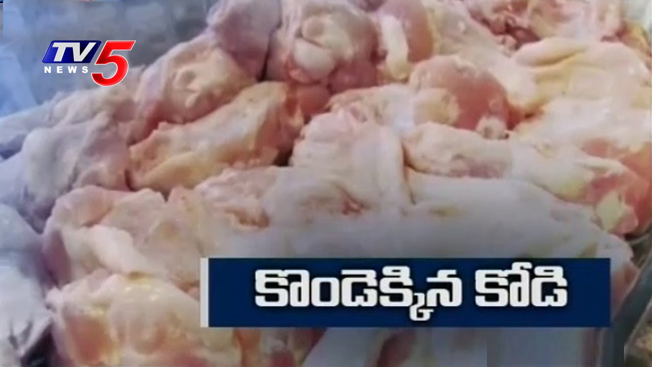 Chicken And Egg Prices Soar In  Hyderabad | TV5 News