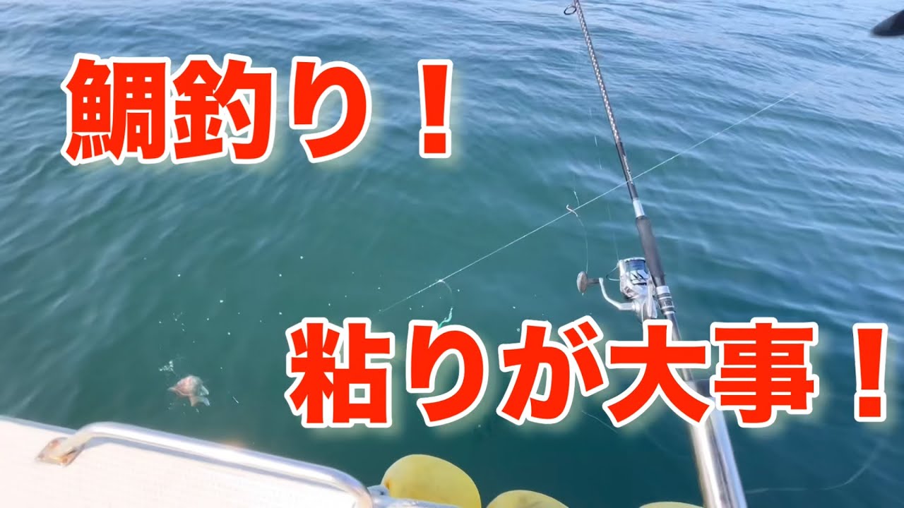 真鯛が来た瞬間！船釣りで味わう最高の一匹