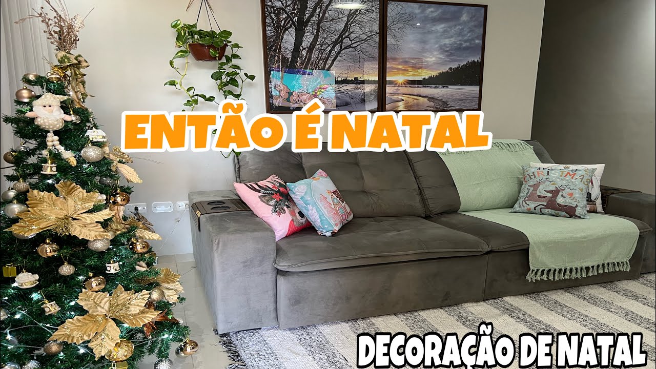 FAXINA E ORGANIZAÇÃO  COMPRINHAS LINDAS | MONTAMOS NOSSA ÁRVORE DE NATAL DECOREI O LAR 🎄 🤶