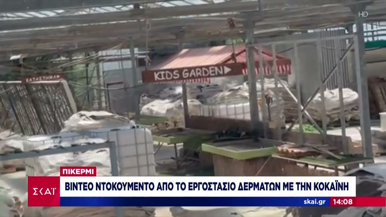 Πικέρμι: Video ντοκουμέντο από το εργοστάσιο δερμάτων με την κοκαΐνη | Μεσημβρινό δελτίο
