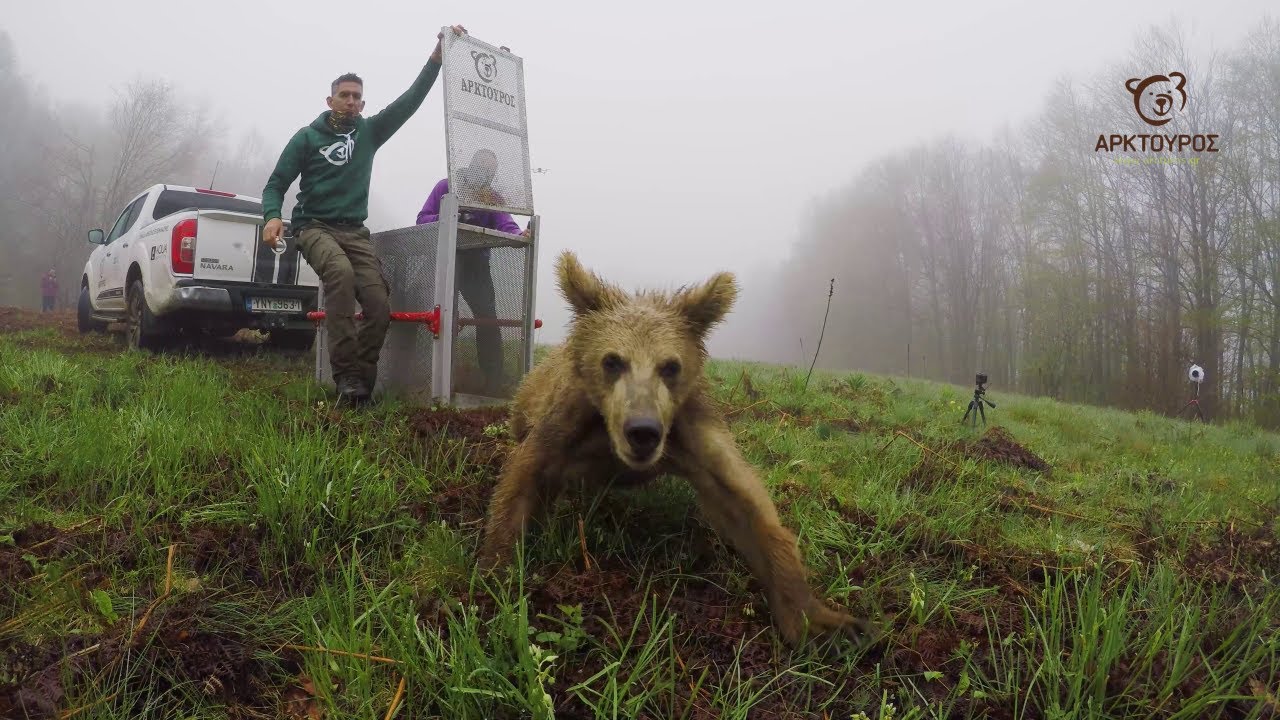 Ο Θωμάς επέστρεψε στη φύση - Thomas was returned back to the wild