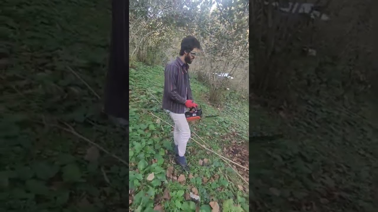 Samsun Salıpazarı Yeşilköy Fındık ocaklarında dal kesme ve kısmi budama çalışmaları