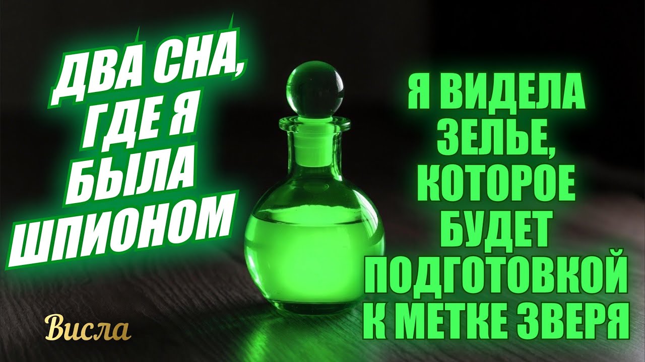 ДВА СНА, ГДЕ Я БЫЛА ШПИОНОМ. Я ВИДЕЛА ЗЕЛЬЕ, ДЛЯ ПОДГОТОВКИ К МЕТКЕ ЗВЕРЯ… Висла