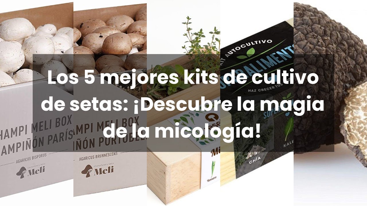 Mushroom kits: Los 5 mejores kits de cultivo de setas: ¡Descubre la magia de la micología!