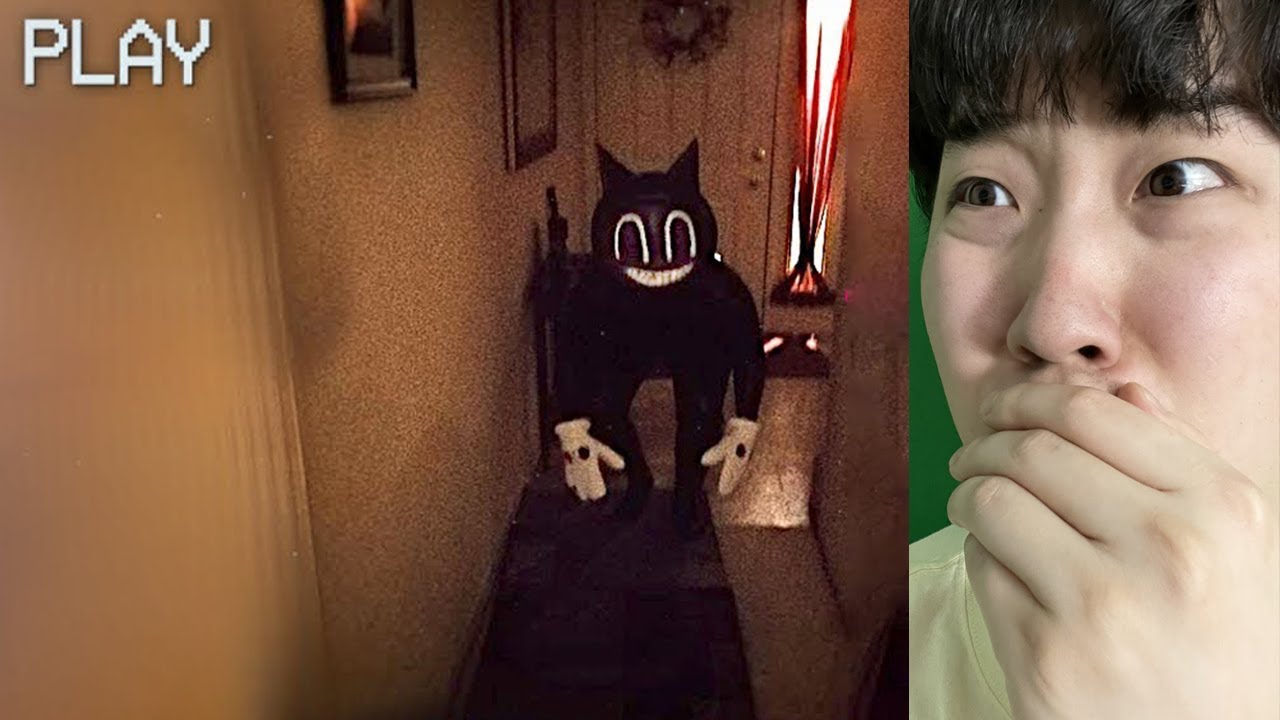 해외에서 무섭다고 난리난 카툰 캣 영상들을 봤습니다. 과연 얼마나 무서울까..?!