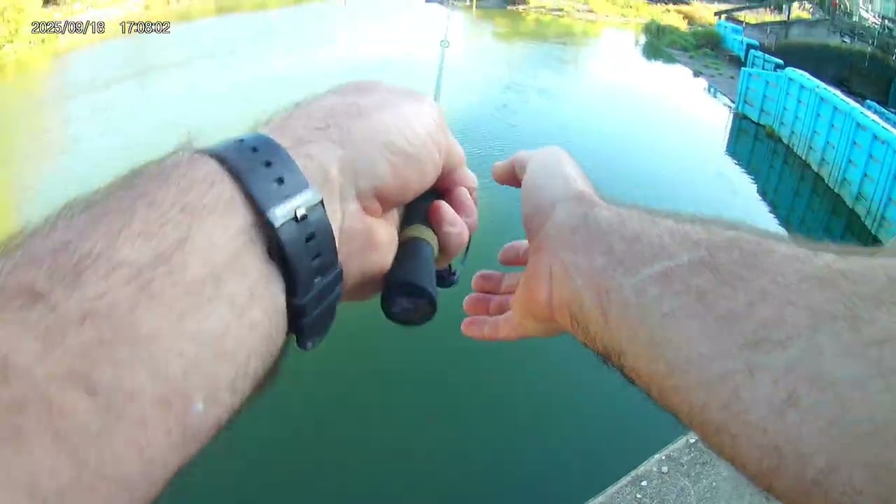Radbuza mormésing (nano jig)
