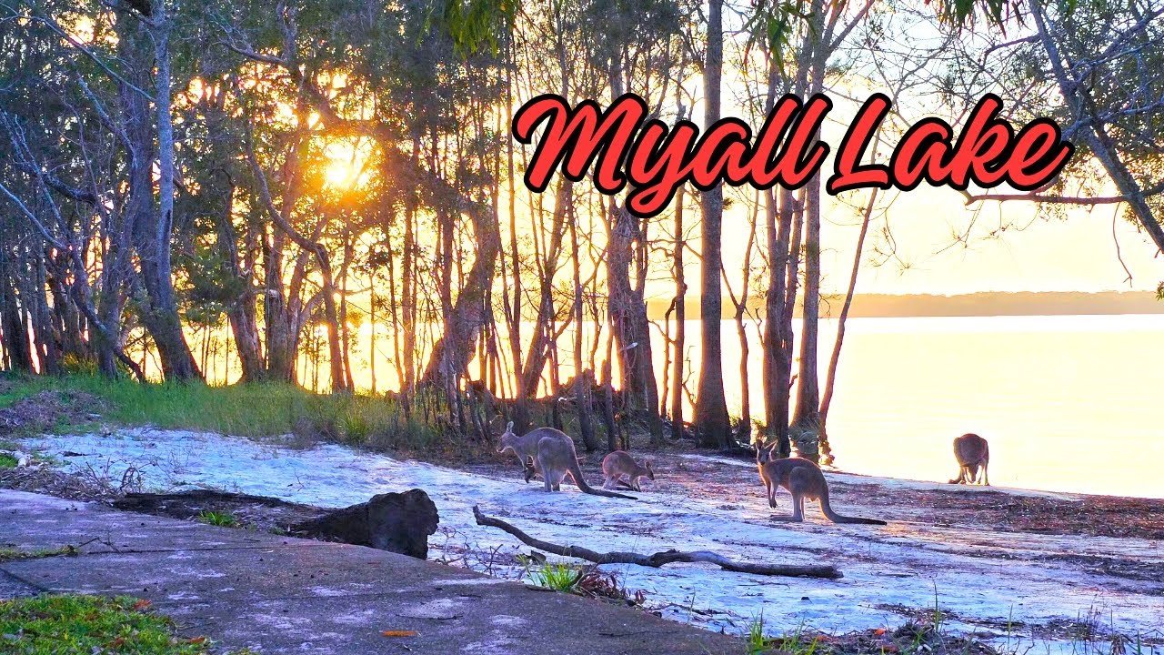 Myall Lake