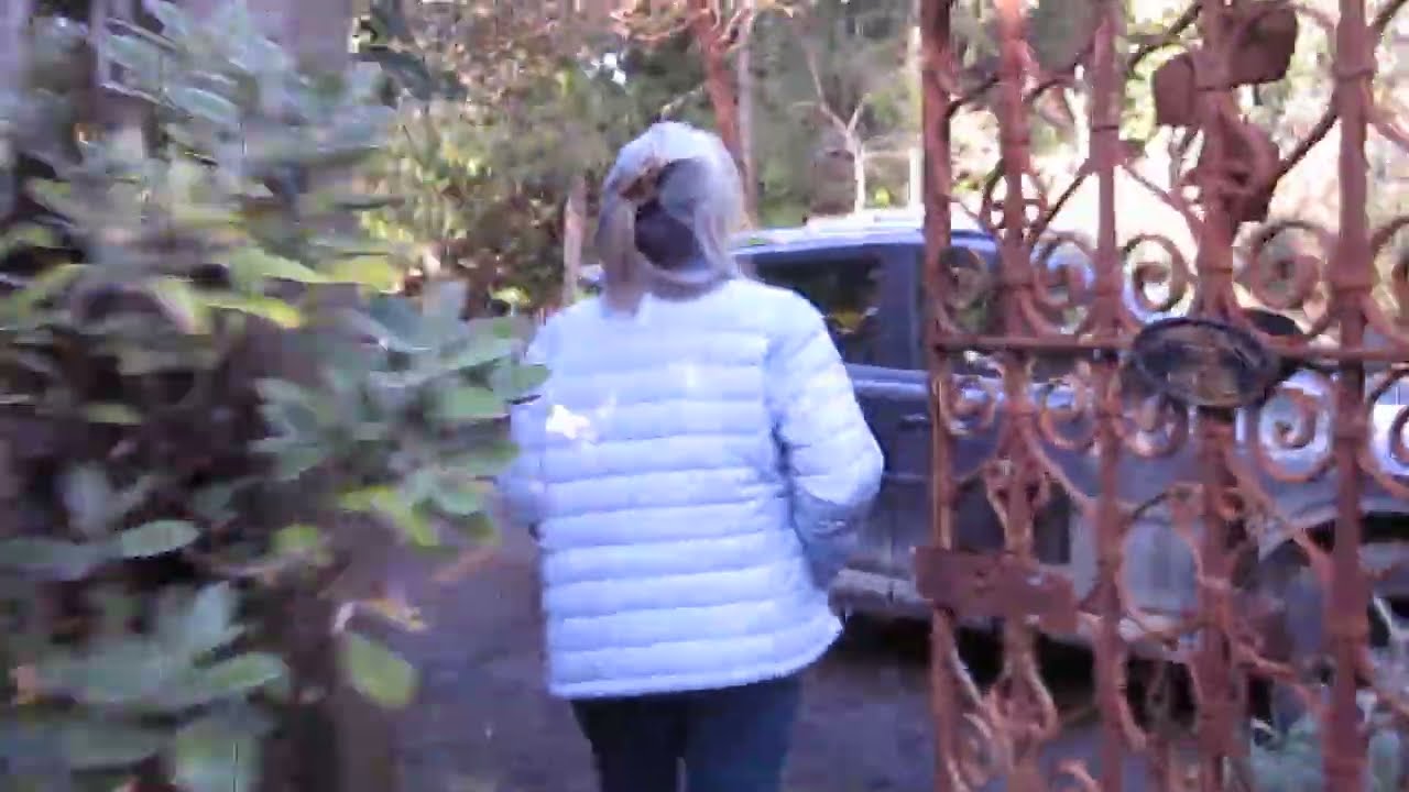 She walks through a  mini Jungle in Winter