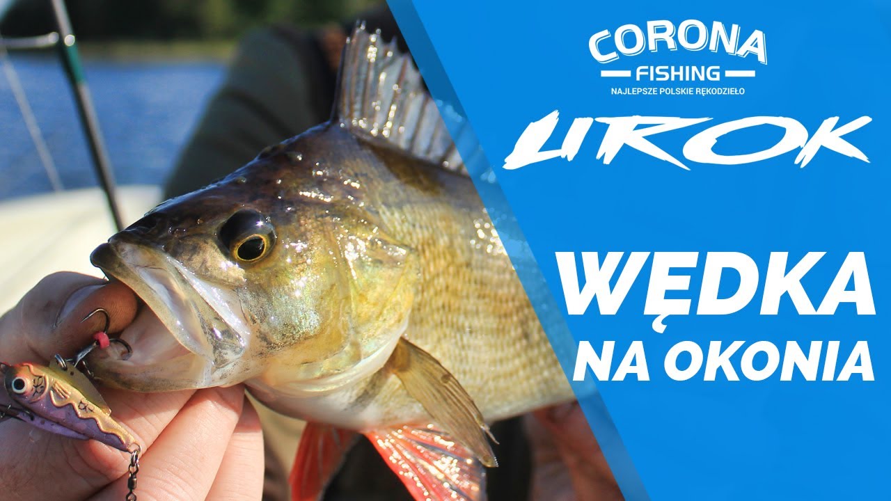 Wędka na okonia - Urok Corona Fishing