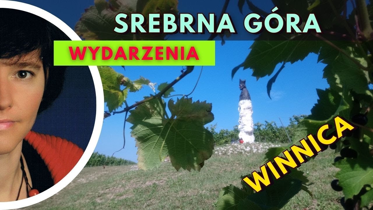 Winnica Srebrna Góra 🍇🍷