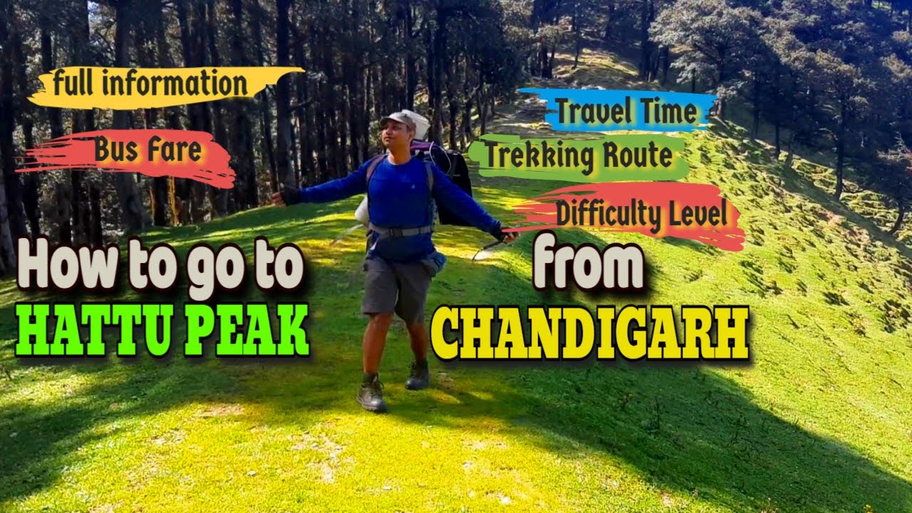 🆕Hatu Peak Narkanda | Narkanda Trek | Chandigarh  to Hattu Peak Full Trek Information | 4K