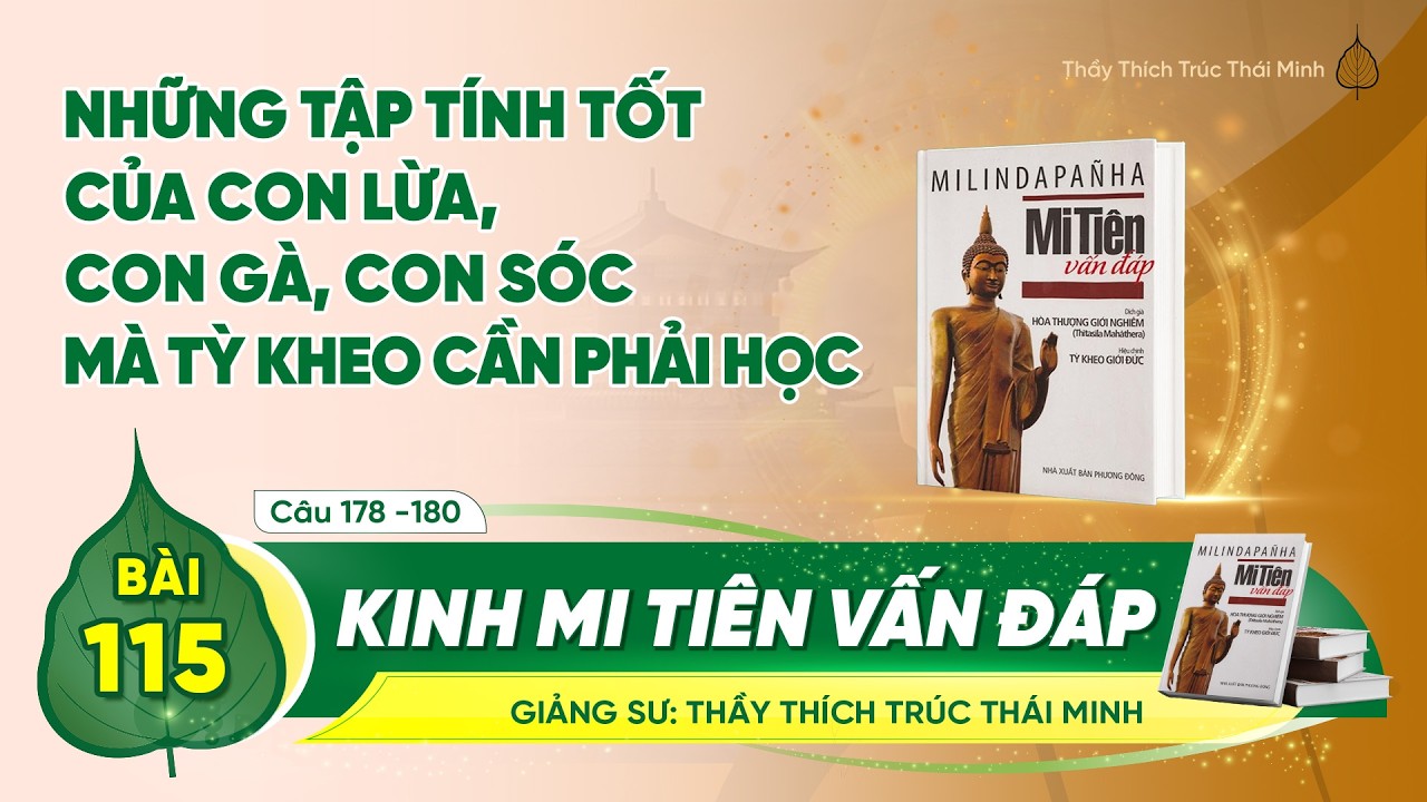 Kinh Mi Tiên Vấn Đáp câu 178-180 | Bài 115 | Thầy Thích Trúc Thái Minh