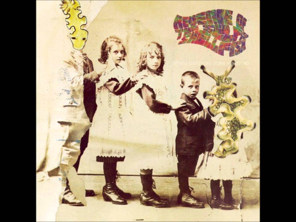 Stephen Stapleton & Tony Wakeford - Our Lady of the White Flowers
