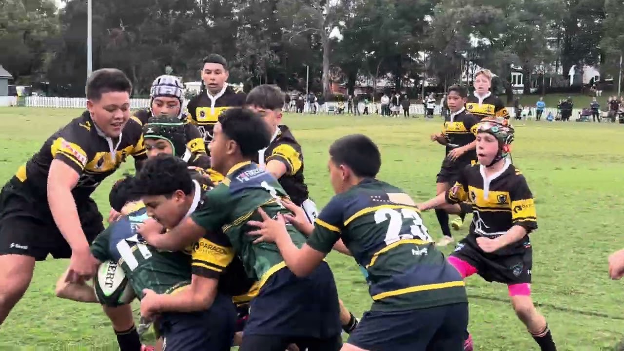 Bears vs Ryde
