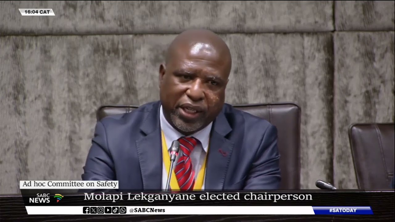 Ad Hoc Committee on Safety | Molapi Lekganyane elected chairperson