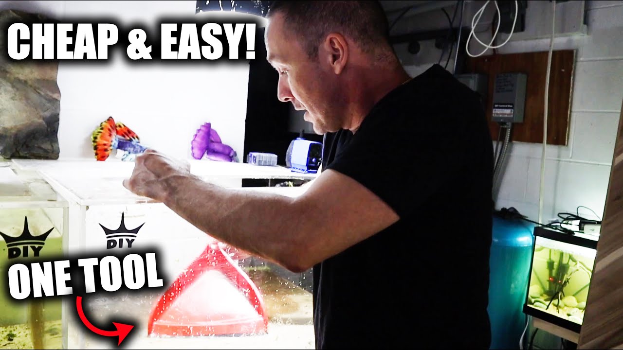 FISH KEEPING TIPS AND TRICKS - Removing Aquarium Substrate - The king of DIY - ADayWithT