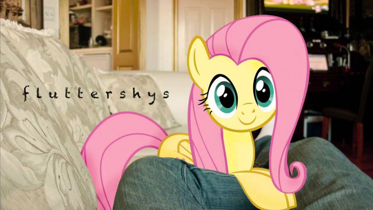 Fluttershys - FritzyBeat (Owl City Ponified)