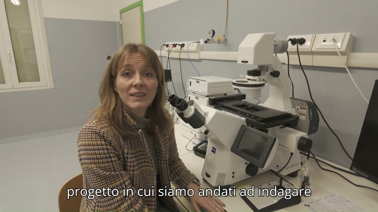 Cosa accade dentro le nostre cellule quando il cervello si ammala?