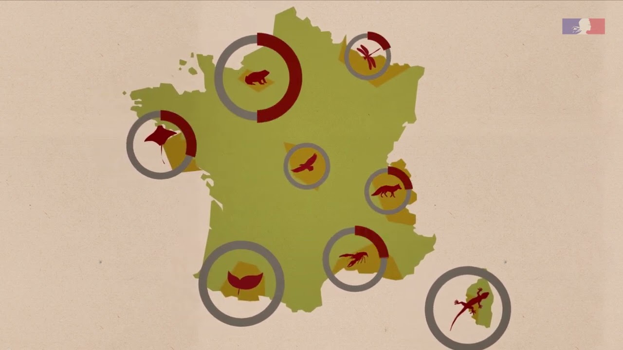 La liste rouge des esp&egrave;ces menac&eacute;es en France