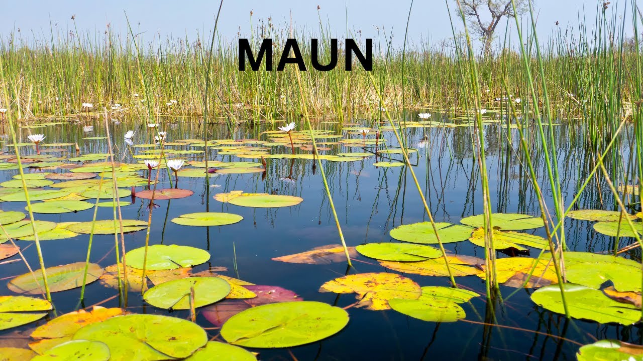 Top 5  Reasons to Visit Maun,Botswana