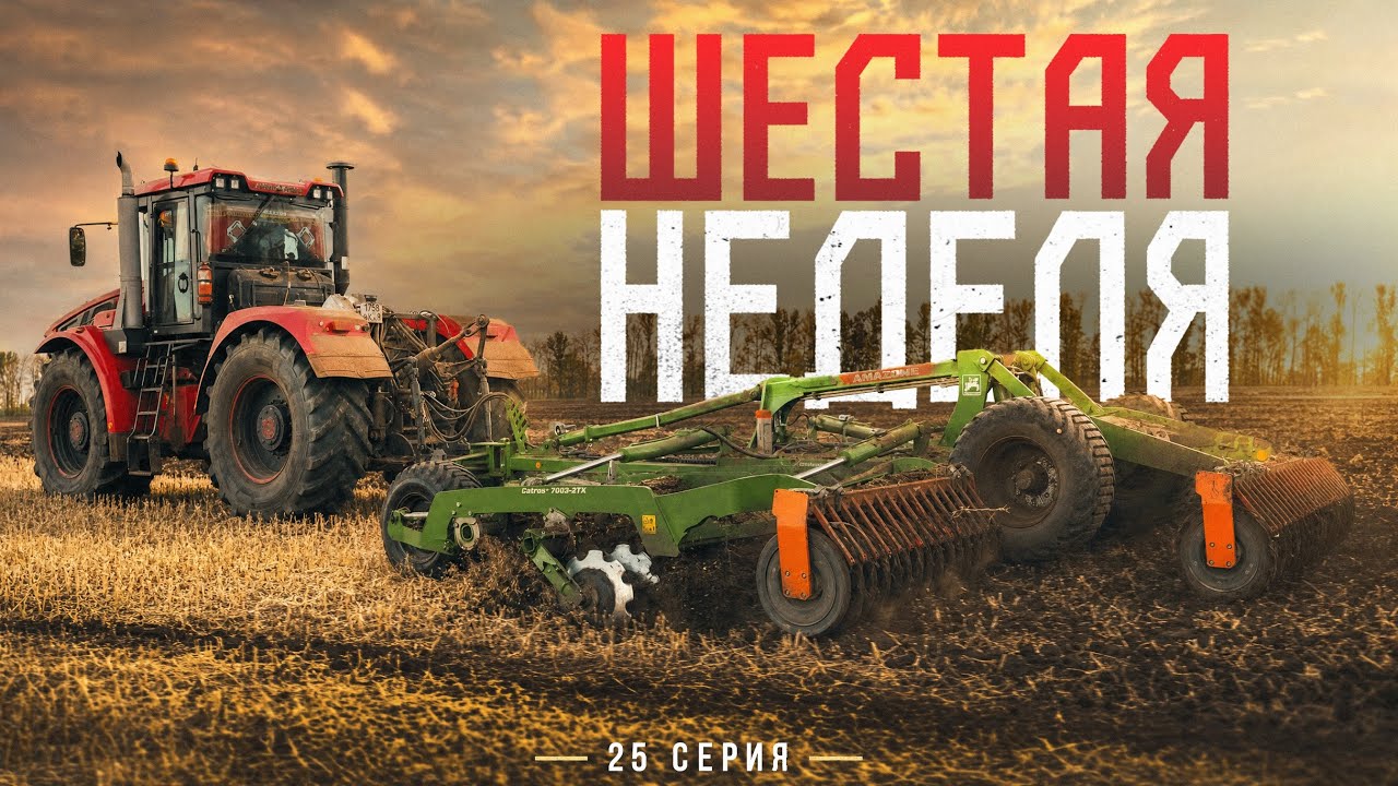 7 дней НЕ УБОРОЧНОЙ с Фермером! Купили Дискатор и УБРАЛИ яровую пшеницу. 