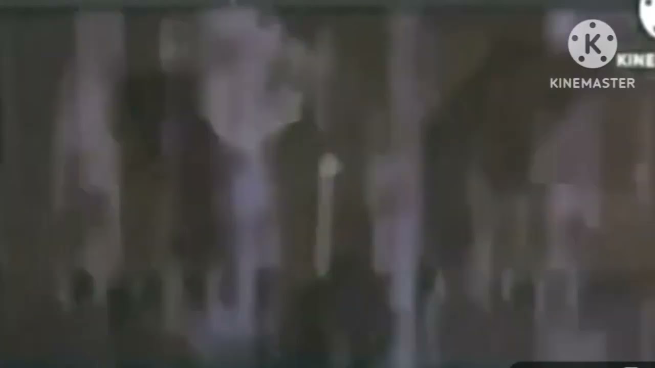 348 Movie studio intros at once