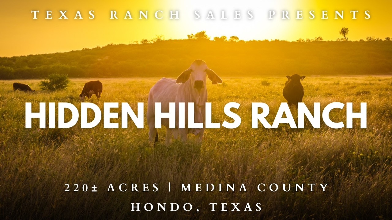 Hidden Hills Ranch | 220&plusmn; Acre Cattle Ranch for Sale in Medina County, Texas